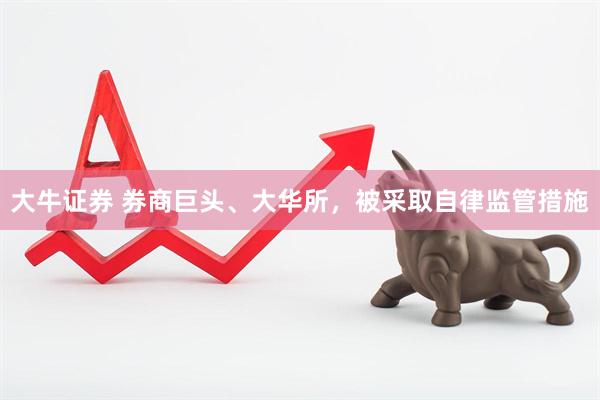 大牛证券 券商巨头、大华所，被采取自律监管措施
