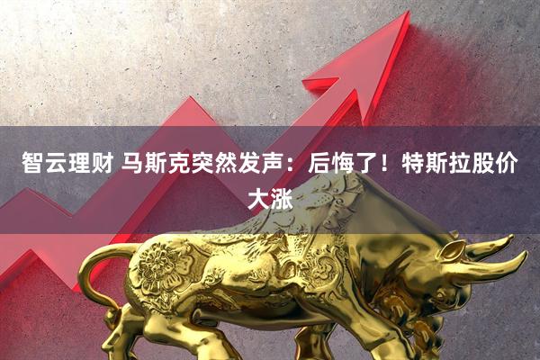 智云理财 马斯克突然发声：后悔了！特斯拉股价大涨