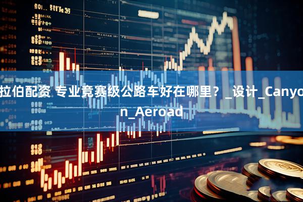 拉伯配资 专业竞赛级公路车好在哪里？_设计_Canyon_Aeroad