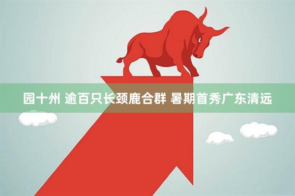 园十州 逾百只长颈鹿合群 暑期首秀广东清远
