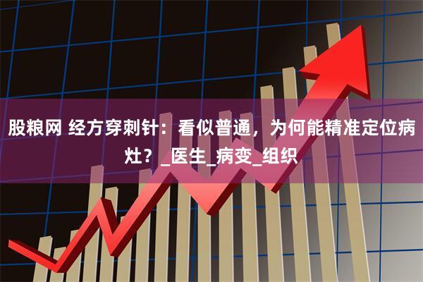 股粮网 经方穿刺针：看似普通，为何能精准定位病灶？_医生_病变_组织