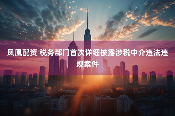 凤凰配资 税务部门首次详细披露涉税中介违法违规案件