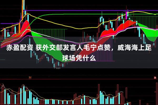 赤盈配资 获外交部发言人毛宁点赞，威海海上足球场凭什么