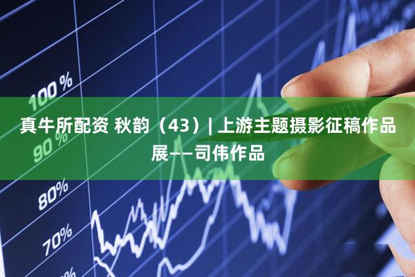 真牛所配资 秋韵（43）| 上游主题摄影征稿作品展——司伟作品