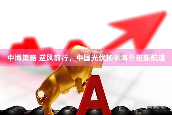 中博策略 逆风前行，中国光伏扬帆海外拓新航道