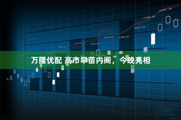 万隆优配 高市早苗内阁，今晚亮相