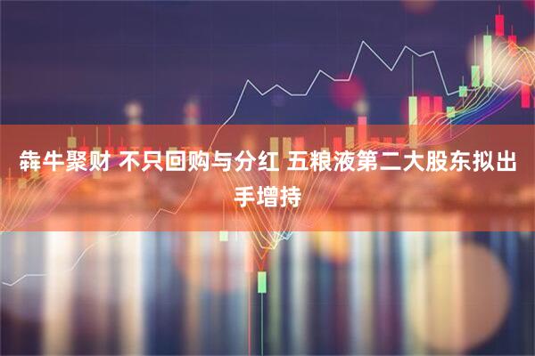 犇牛聚财 不只回购与分红 五粮液第二大股东拟出手增持